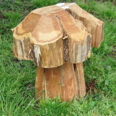 Cedar Mushroom